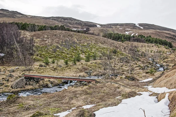 Zlanda Manzara Ile Küçük Şelaleler Rapids Ile Küçük Bir Dere — Stok fotoğraf