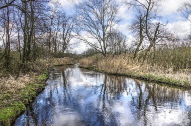 Valkenswaard, Hollanda içinde bir gün bahar içinde ağaçlar, çalılar ve gökyüzü yansıtmak yakınındaki Dommel Nehri'nin görünümü