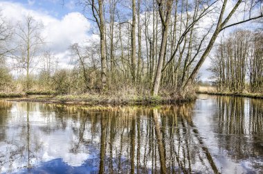Bahar güzel bir gün ağaç ve çalı Dommel Valkenswaard, Hollanda suya yansıtan yakınındaki nehirde viraj içinde büyüyen yüzey