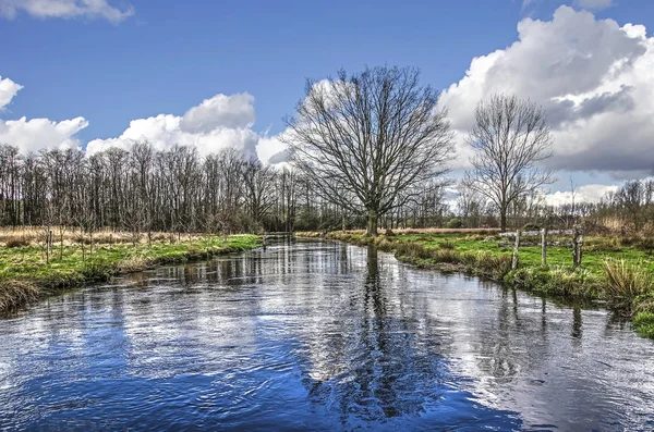 Paysage Dans Vallée Rivière Dommel Près Valkenswaard Pays Bas Avec — Photo