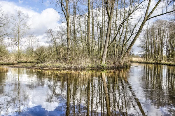 Trees Bushes Growing Bend River Dommel Valkenswaard Netherlands Reflecting Water — Stock Photo, Image