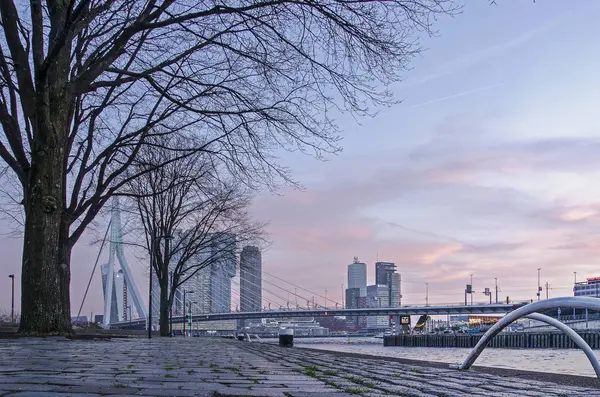 荷兰鹿特丹 2019年2月13日 在五颜六色的傍晚天空下 Erasmus 桥和南岸海滨开发的 Leuvehoofd 公园码头的低景观 — 图库照片