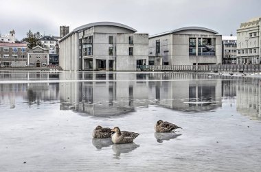 Reykjavik, Izlanda, 27 Şubat 2019: Belediye Binası, bitişik banliyö mahalle ve göl Tjornin altında dramatik bir gökyüzü altında şafak