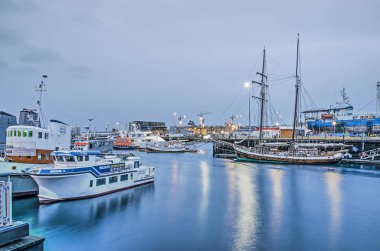 Reykjavik, Izlanda, 25 Şubat 2019: turist tekneleri, tarihi yelken yat ve diğer gemiler akşam alacakaranlık eski liman, arka planda Harpa konser salonu ile