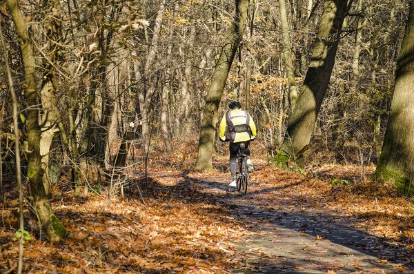 Rucphen Netherlands Novembr 2018 Mountain Biker Path Covered Fallen Leaves — Stock Photo, Image