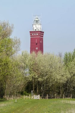 Ouddorp, Hollanda, 19 Nisan 2019: Goeree adasının batı ucundaki kırmızı ve beyaz deniz feneri çevredeki kumulların, ormanların ve çayırların üzerinde yükseliyor.