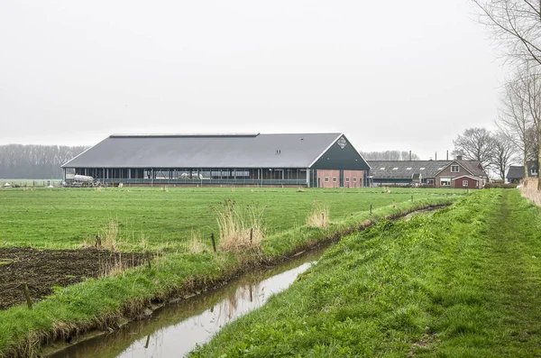 Nederhemert Hollandia Március 2019 Gyalogút Zöld Polder Táj Parasztházak Modern — Stock Fotó