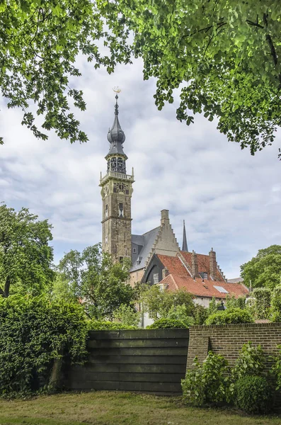 Veere Нідерланди Травня 2019 Вид Вежу Ратуші Обрамлені Деревами Чагарниками — стокове фото