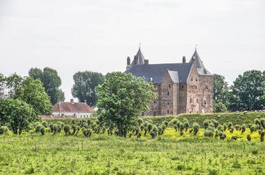 Poederoijen, Hollanda, 10 Haziran 2019: Çevredeki Munnikenland doğa rezervinden 14.