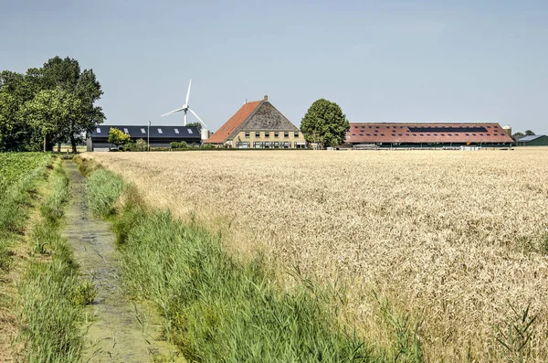 Franeker Hollandia Július 2019 Fríz Táj Hagyományos Parasztházból Modern Barnák — Stock Fotó