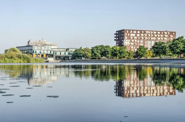 Zwolle Netherlands July 2019 View Large Reflective Pond Twistvliet Park — Stock Photo, Image