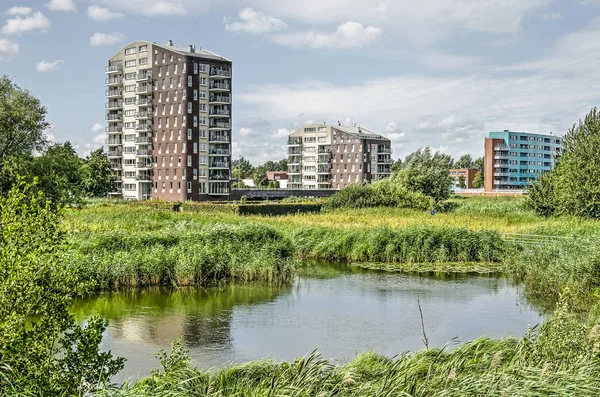 Zwolle Alankomaat Elokuuta 2019 Modernit Kerrostalot Uudella Stadshagenin Alueella Josta — kuvapankkivalokuva