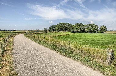 Hollanda Kampen yakınlarındaki yeşil bir arazide, biraz kıvrımlı ve çevreleyen bir ağaç kümesine yol açan bir dike üzerinde dar bir ülke yolu 