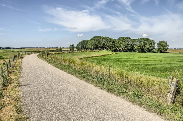 Keskeny Országút Gát Egy Zöld Táj Közelében Kampen Hollandia Enyhén — Stock Fotó