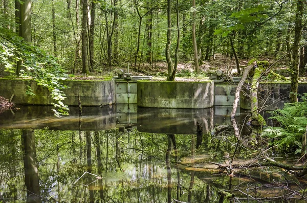 Dense Forest Obsolete Concrete Dam Fallen Trees Reflective Water Former — Stock Photo, Image