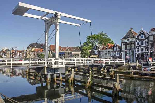 Zwolle Nederland Juli 2019 Voetgangersbrug Pelserbrugje Het Schilderachtige Thorbecke Kanaal — Stockfoto