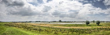 Zwolle yakınlarındaki Vreugerijkerwaard doğa rezervi de nehir Ijssel sel panoramik görünümü, Hollanda, dramatik bulutlar ile bir gökyüzü altında