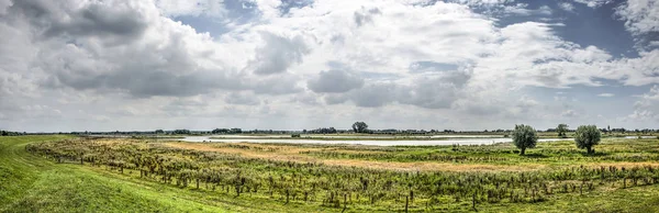 Zwolle yakınlarındaki Vreugerijkerwaard doğa rezervi de nehir Ijssel sel panoramik görünümü, Hollanda, dramatik bulutlar ile bir gökyüzü altında