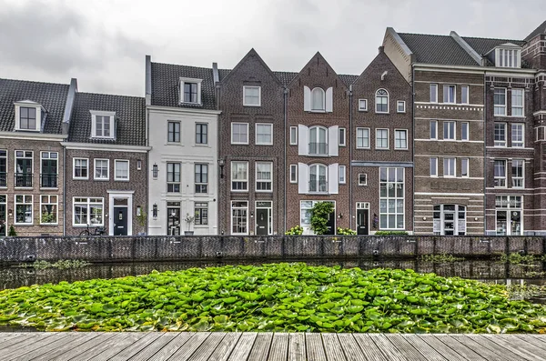 Helmond Nizozemsko Srpna 2019 Pohled Dřevěné Plošiny Přes Velký Shluk — Stock fotografie
