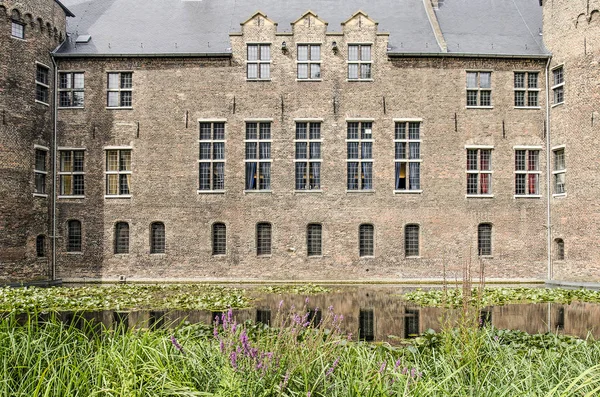 Helmond Nederland Augustus 2019 Uitzicht Gracht Riet Wilde Bloemen Aan — Stockfoto