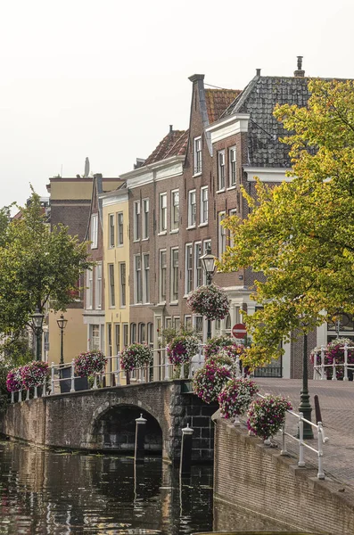 Leiden, Hollanda, 3 Eylül 2019: Tarihi evler, tuğla kemer köprü ve boyama ağaçları ile Yeni Ren kanalı boyunca sonbahar sahnesi