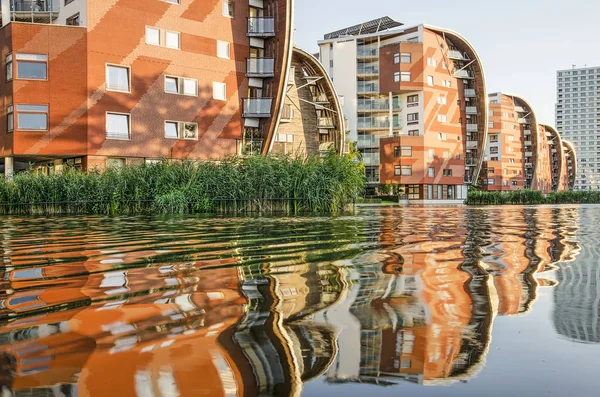 Den Bosch Hollanda Eylül 2019 Palacae Mahallesi Ndeki Konut Ların — Stok fotoğraf