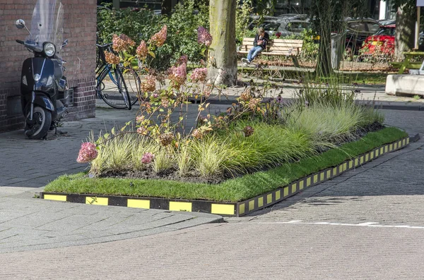 Rotterdam Netherlands September 2019 Parking Spaces Temporarily Replaced Tiny Park — Stock Photo, Image