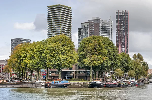 Rotterdam Holandia Października 2019 Widok Port Leuvehaven Zabytkowymi Łodziami Drzewami — Zdjęcie stockowe