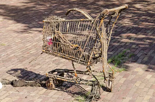 Rotterdam Netherlands September 2019 Rusty Dirty Damaged Shopping Cart Brick — Stock Photo, Image