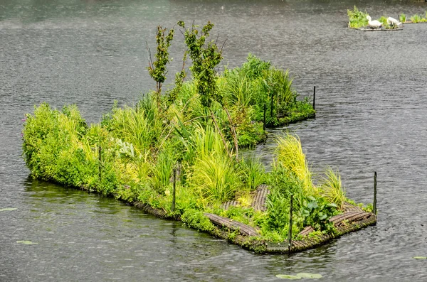 헤이그 네덜란드 2020 인근의 항구에 초목이 우거진 인공섬 — 스톡 사진