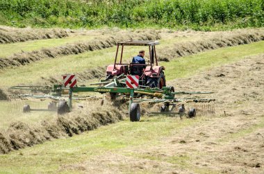 Wilsum, Hollanda, 21 Temmuz 2020: tarlada çalışan tarım makinesi, daha sonra balya üretimi için kurumuş samanları sıraya diziyor.