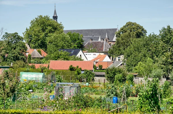 Hatem Hollanda Temmuz 2020 Kasaba Kilisesi Evlerin Bahçelerin Üzerinde Yükseliyor — Stok fotoğraf
