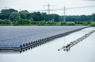Zwolle, The Netherlands, July 19, 2020: birds resting on floating array of solar panels in artificial lake Sekdoornse Plas, with power lines and forest in the background clipart