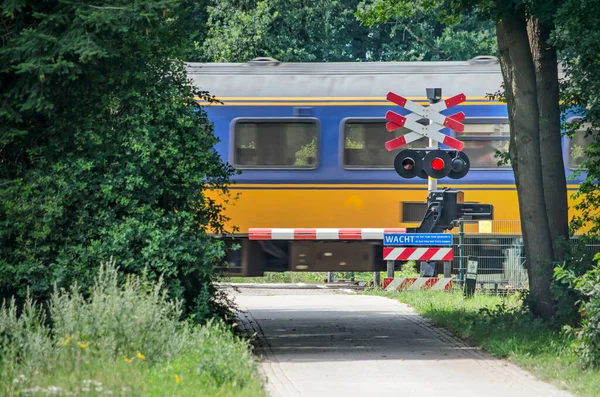 Zwolle Juillet 2020 Train Hollandais Jaune Bleu Passant Niveau Sur — Photo