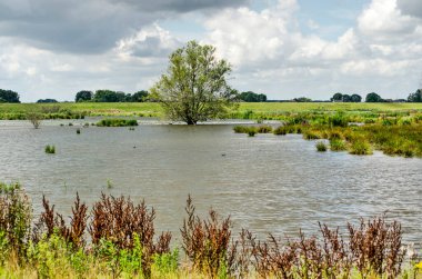 IJssel Nehri 'nin taşmasını önlemek için yeni Reevediep nehir kanalı ile Hollanda, Kampen yakınlarındaki manzara