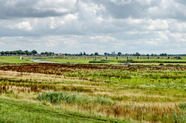 Kampen, Hollanda, 26 Temmuz 2020: Yeni Reevediep nehir kanalının taşkın ovalarını çimenler, sazlıklar, atarlarla ve diğer alçak bitkilerle birlikte görmek