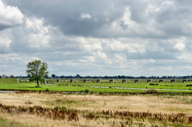 Kampen, Hollanda, 26 Temmuz 2020: Yeni Reevediep nehir kanalının suni taşkın ovasını tek bir ağaçla ve uzaktaki beton bir köprüyle görmek