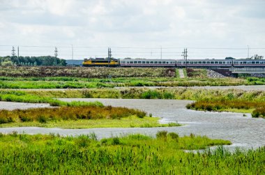 Kampen, Hollanda, 26 Temmuz 2020: Yeni Reevediep nehir kanalı etrafındaki sulak araziye bakın. Arka planda Almanya 'ya giden bir tren var.