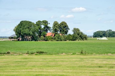 Kamperzeedijk, Hollanda, 2 Ağustos 2020: Çiftlik ve ağaçlarla dolu yeşil polen manzaralı dost bir gökyüzü altında