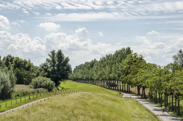 Dordrecht Netherlands August 2020 Two Bicyclists Green Landscape Dike Fields — Φωτογραφία Αρχείου