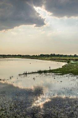 Hollanda 'nın Ridderkerk kenti yakınlarındaki Waalbos doğa koruma alanındaki bir gölün sakin suyuna yansıyan dramatik bulut oluşumu, bir yaz akşamında