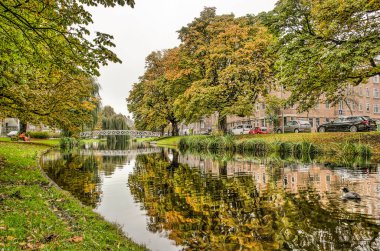 Rotterdam, Hollanda, 5 Kasım 2019: Bergsingel Kanalı 'nın yeşil kıyılarında yumuşak sulara yansıyan renkli ağaçlarla sonbahar sahnesi