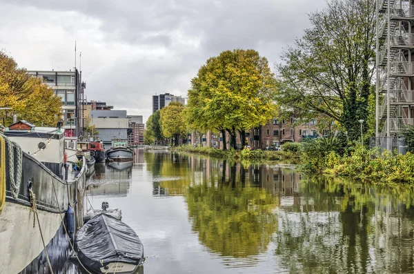 Rotterdam Nizozemsko Listopadu 2019 Lodě Byznys Obytné Bloky Pestrobarevné Stromy — Stock fotografie