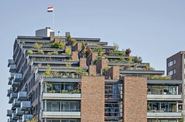 Rotterdam Pays Bas Septembre 2020 Immeuble Résidentiel Moderne Brique Quartier — Photo