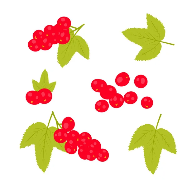 Vektorsatz Roter Johannisbeeren Vektorillustration — Stockvektor