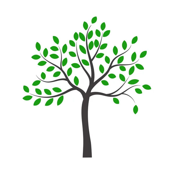 Векторна Ілюстрація Дерева Зеленим Листям — стоковий вектор
