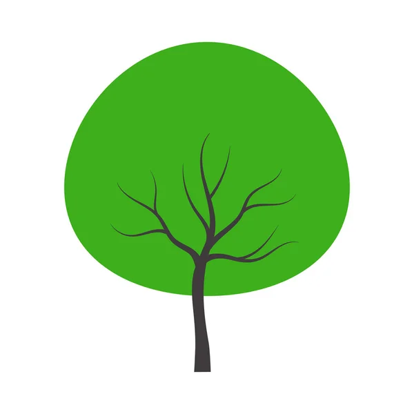 Ilustracja Wektorowa Zielone Drzewa Płaski — Wektor stockowy