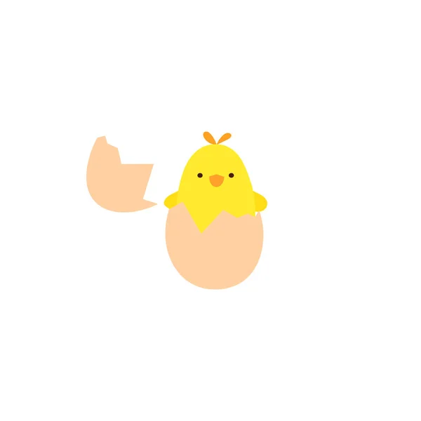 Vector Illustration Chicken Broken Egg Vector Newborn Chicken — Stock Vector