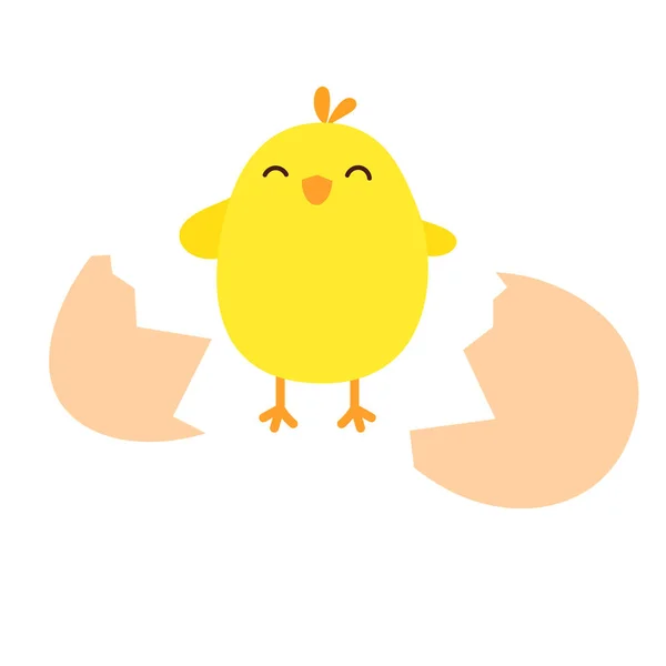 Vector Illustration Happy Chicken Broken Egg Vector Newborn Chicken — Stock Vector