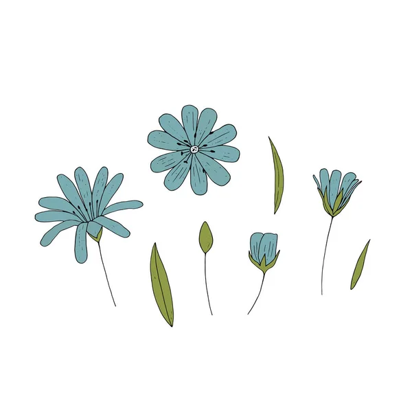 Vektor Set Von Isolierten Blumen Auf Weißem Hintergrund Sammlung Floraler — Stockvektor